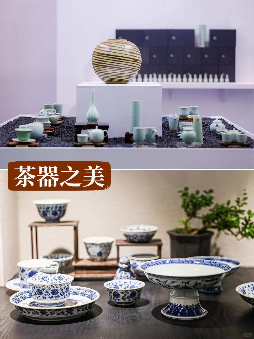 周末去哪儿?杭州人10月必逛的茶博会来啦