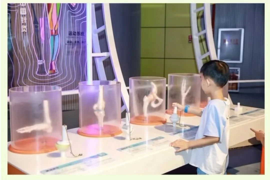 广东科学中心 | 功课 | ?人与健康馆