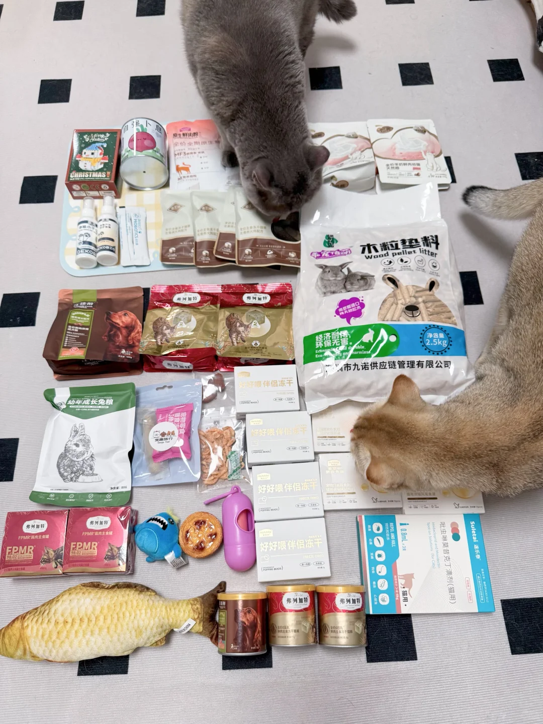 深圳宠物展首日战报!劝薅羊毛党慎冲?