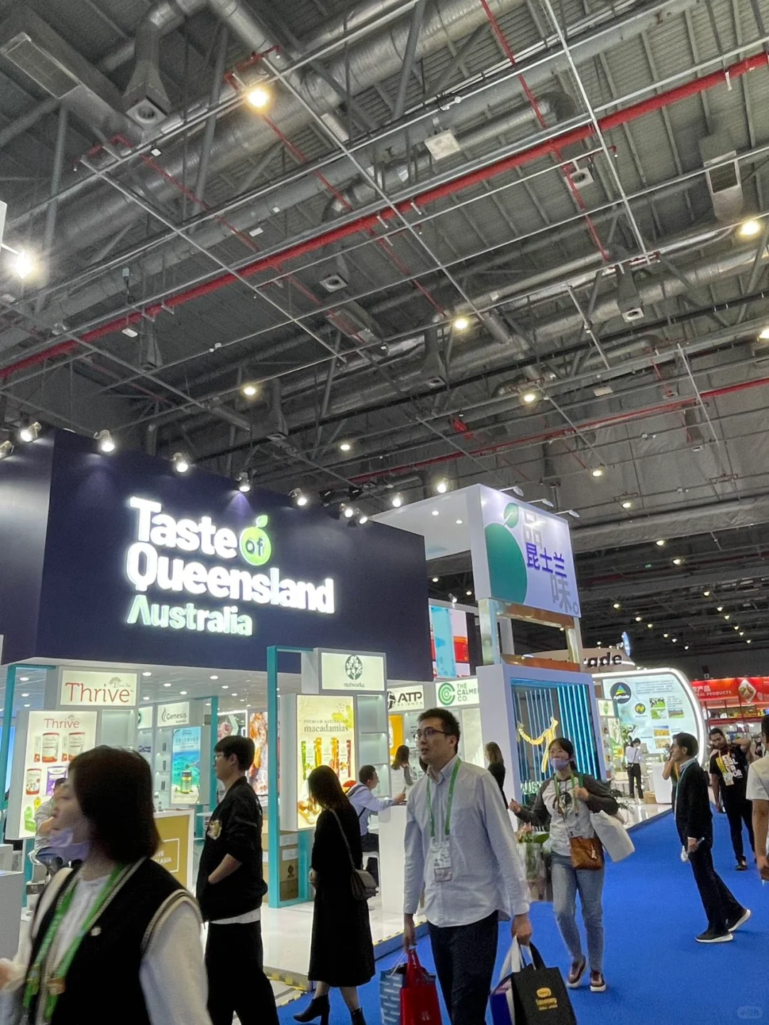 进博会 | 博览盛宴，无限可能！