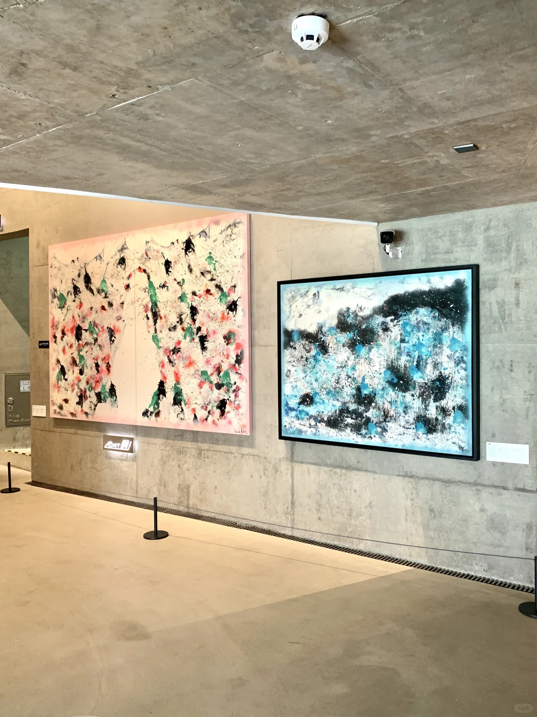 杭州近期被低估的免费展?️