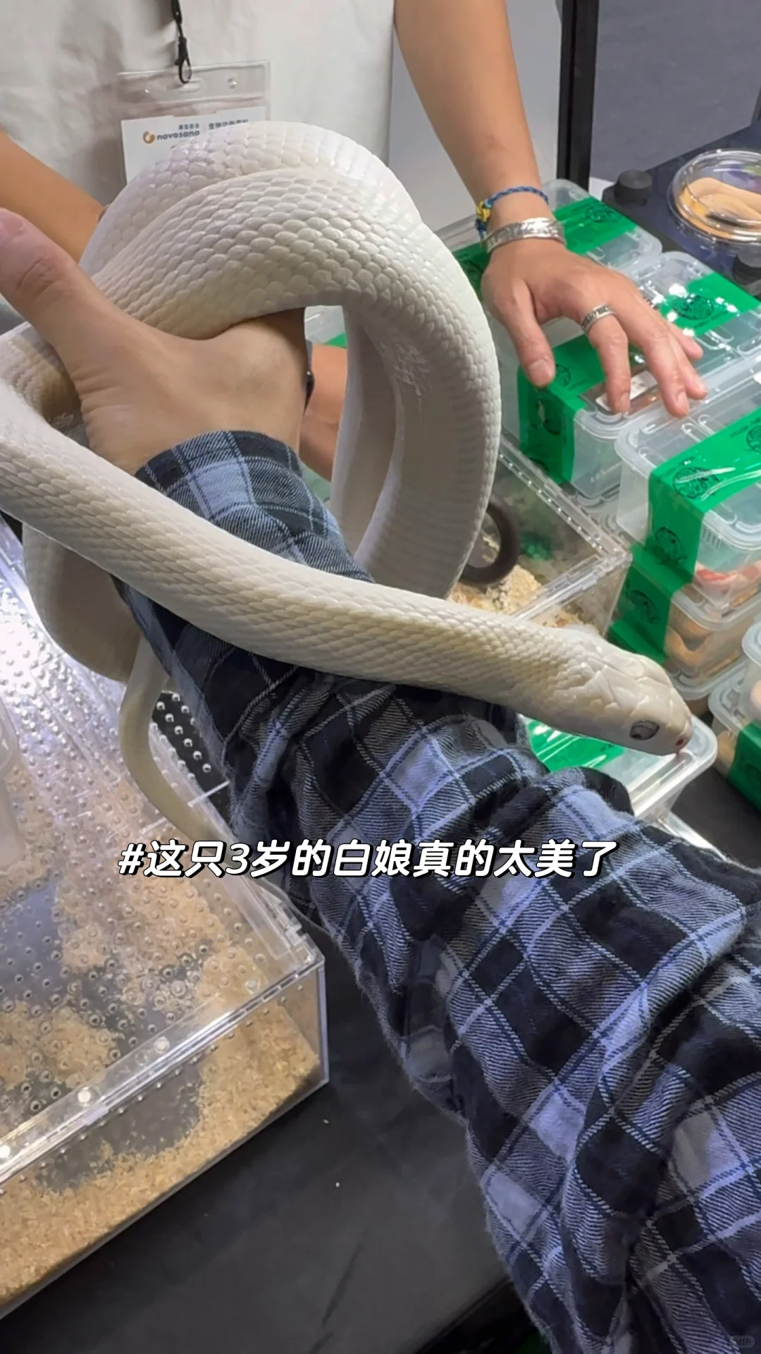 暴走2万步总结的2025它博会攻略!