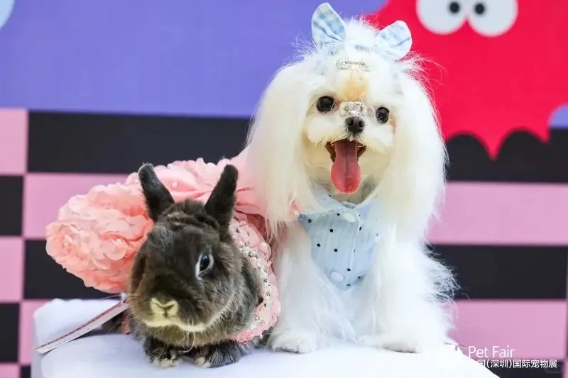 【展会观察】年轻人不生娃,开始养宠物了??