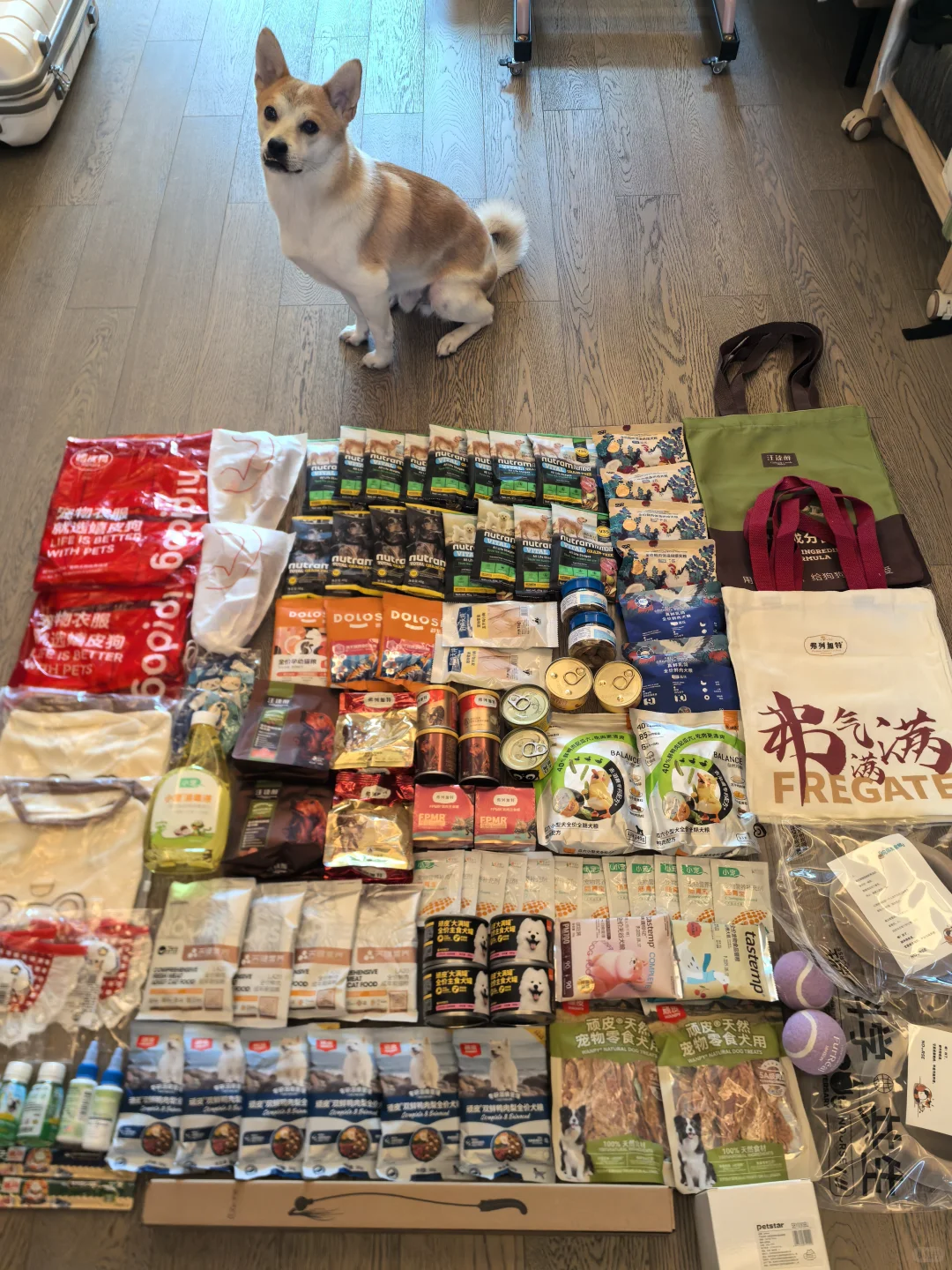 ?｜亚宠展排这些超值！?