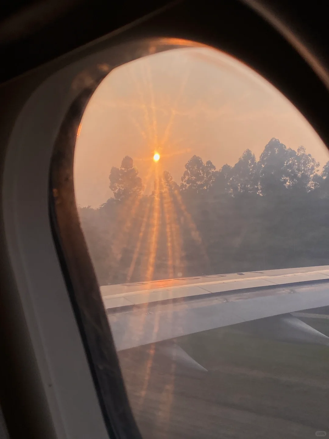 广交会葡翻需要做什么??