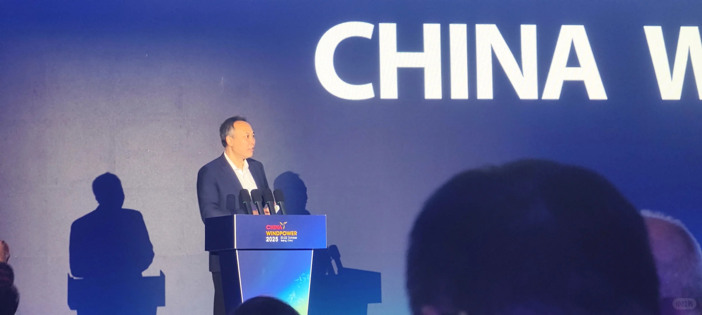 来2025年国际风能展