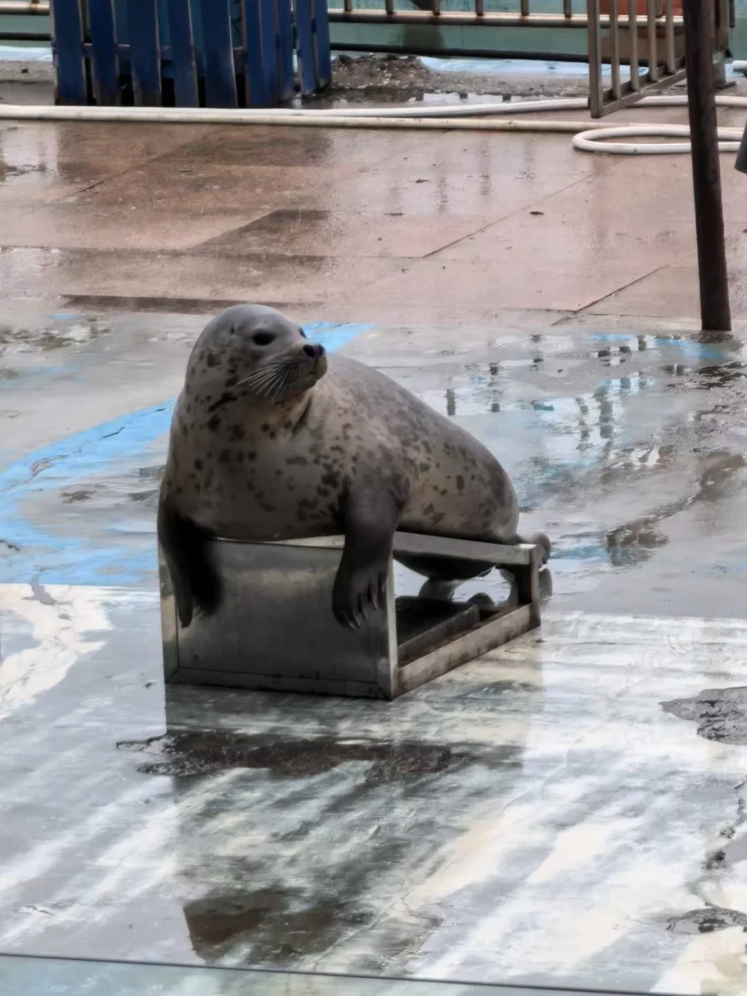 一次性玩个够！威海—烟台—大连旅游攻略