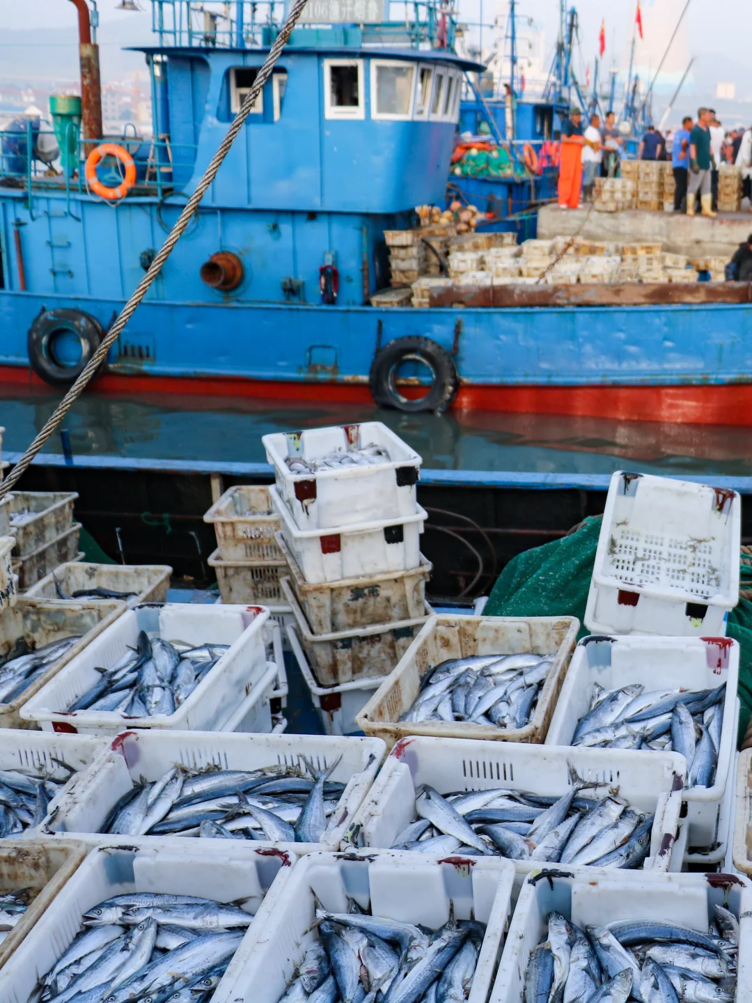 烟台人都去哪买海鲜❓超全地图公开?