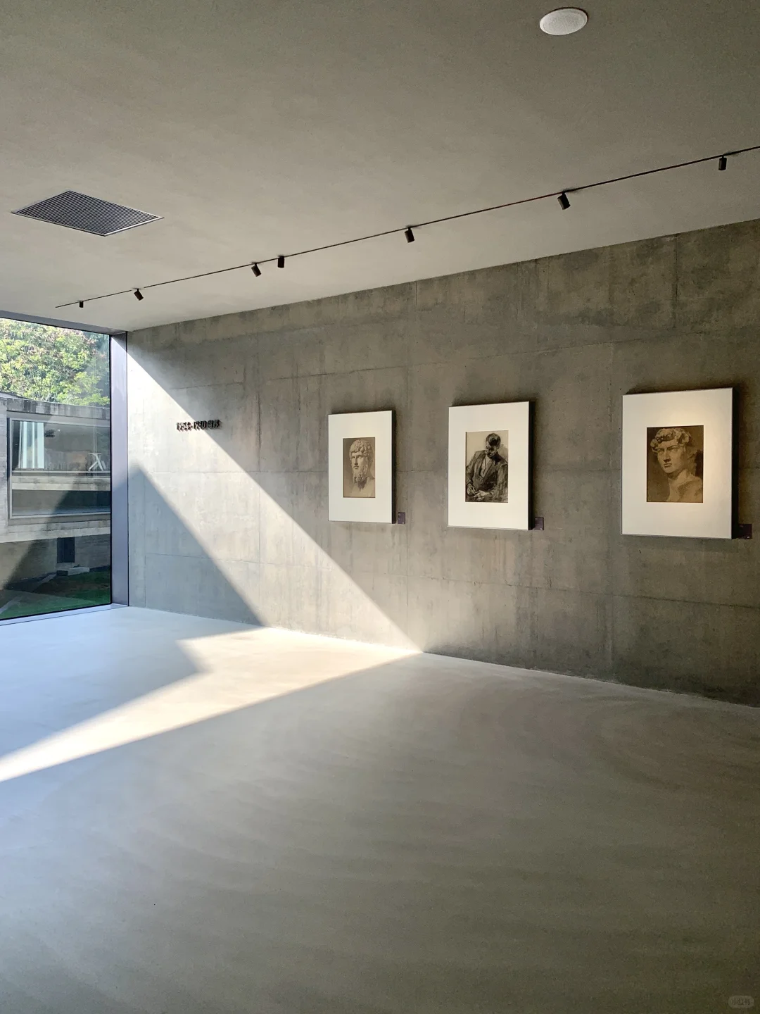 杭州近期被低估的免费展?️