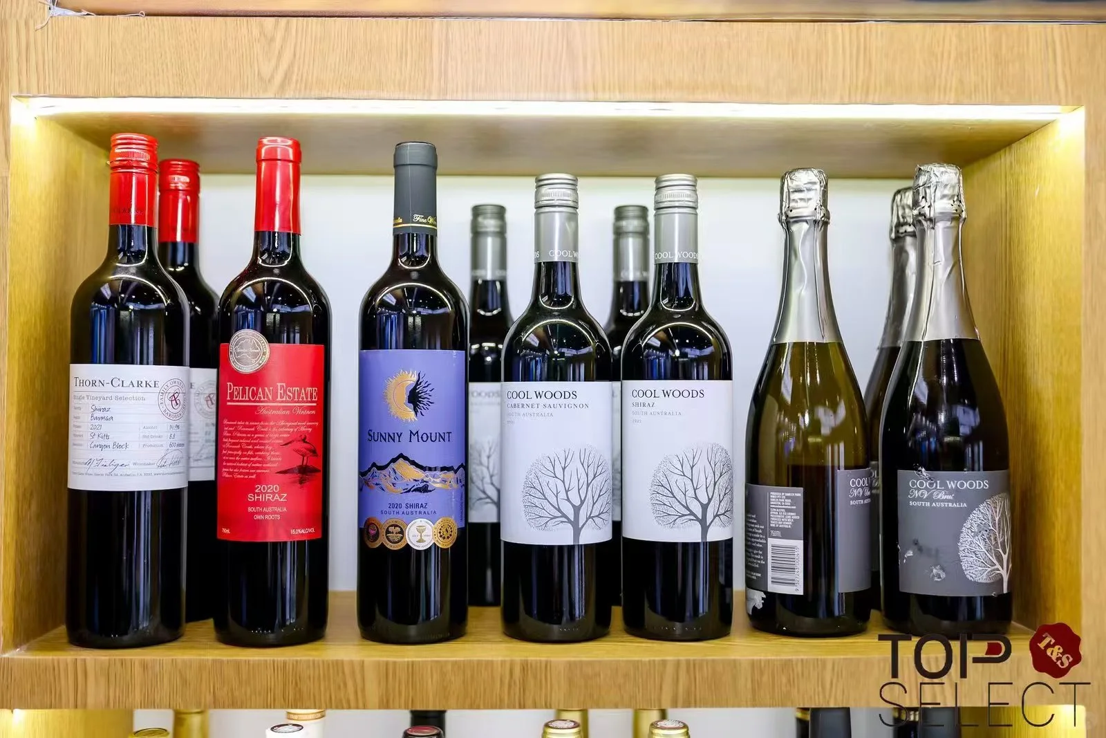 参加第七届进博会的感受