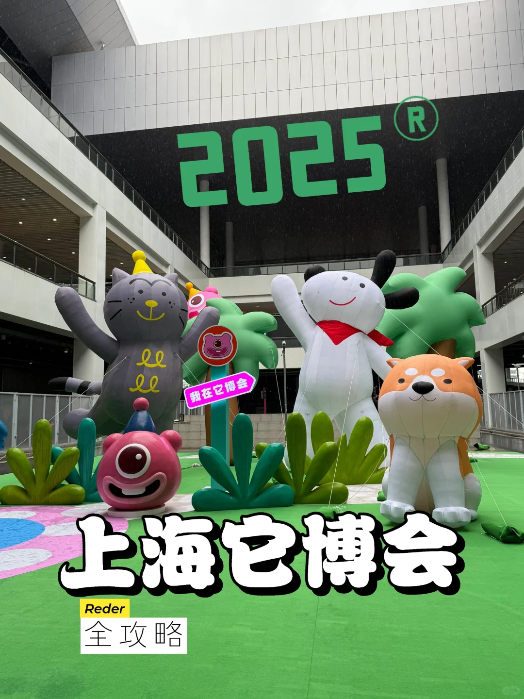 暴走2万步总结的2025它博会攻略!