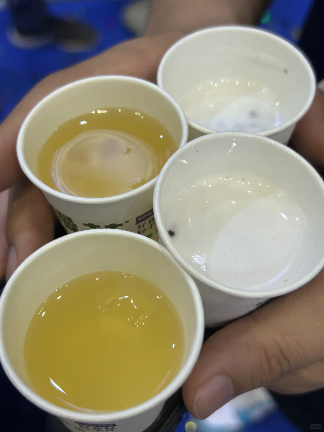 ???郑州！免费美食展