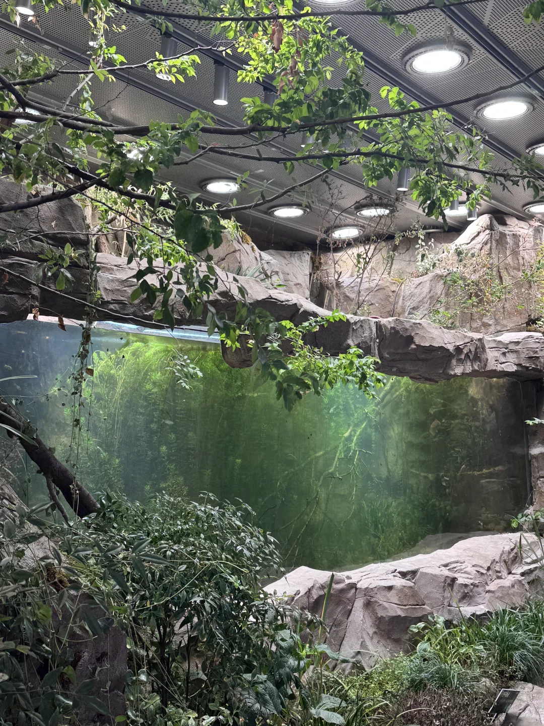 参加招商蛇口的面试！