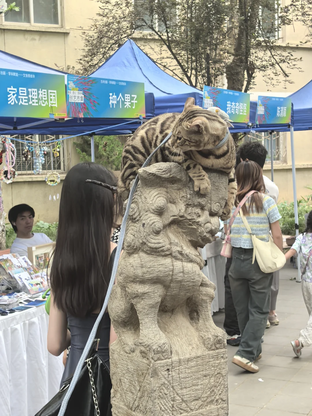 西美毕业展/创意集市此人就这样去逛