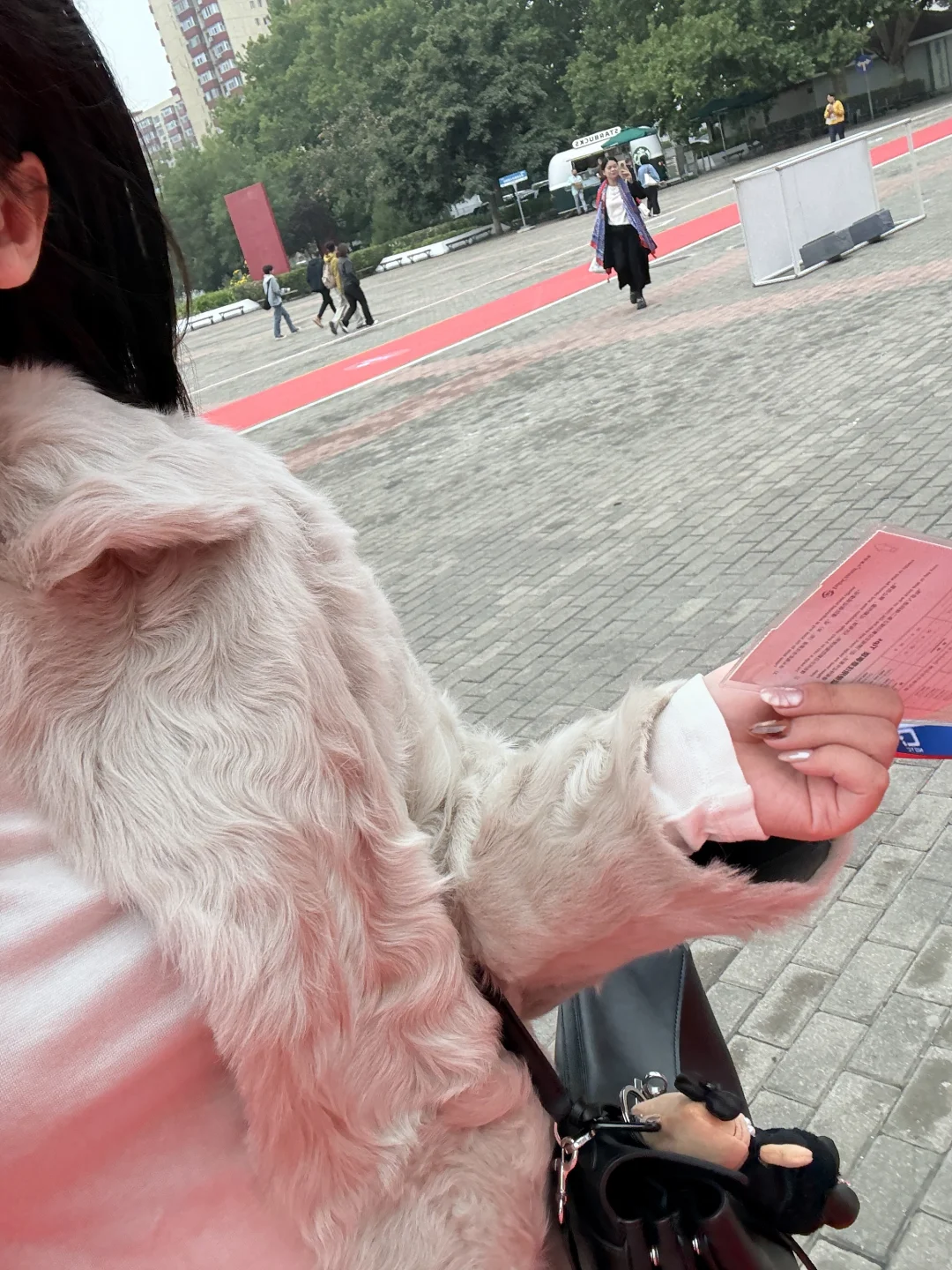 哈啊想念北京的冷空气