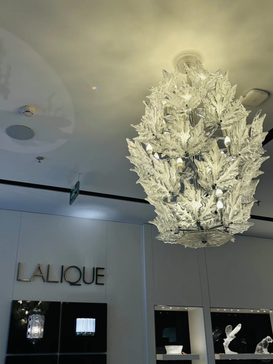 广州提升审美好去处:罗浮荟邂逅莱俪水晶