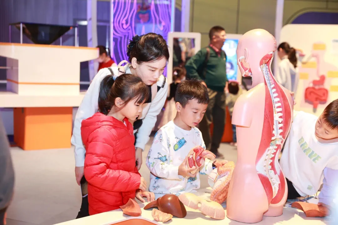 广东科学中心 | 功课 | ?人与健康馆