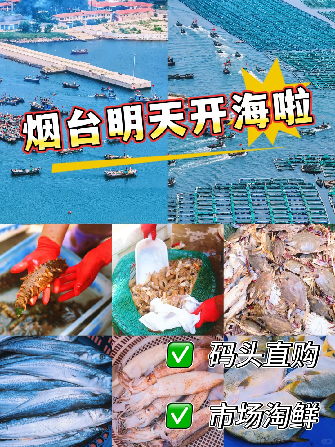 烟台人都去哪买海鲜❓超全地图公开?