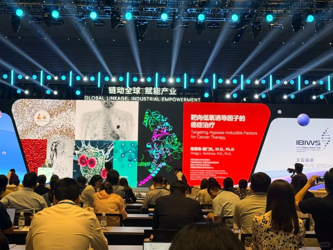 含金量几何？上海生物医药产业规模破万亿..