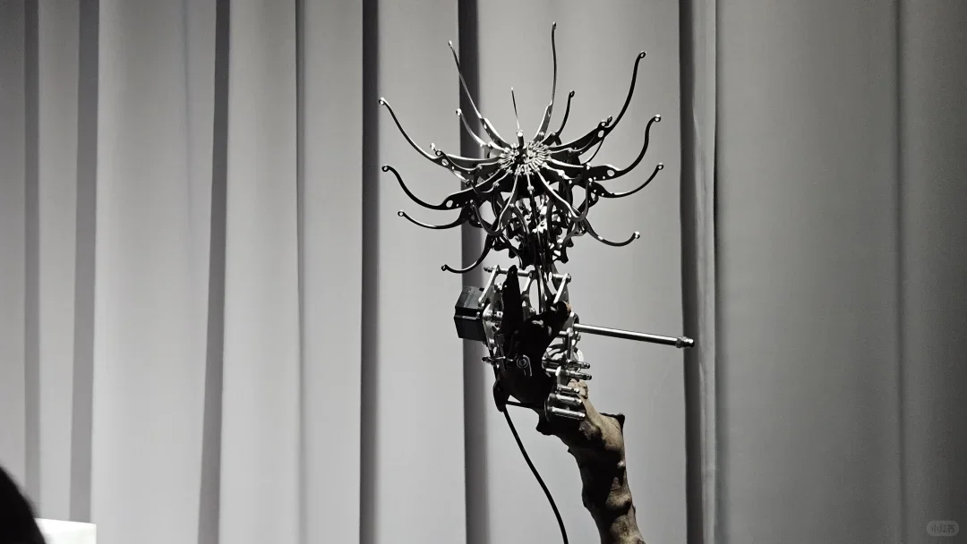 2025 中国美院毕业展雕塑系优秀作品