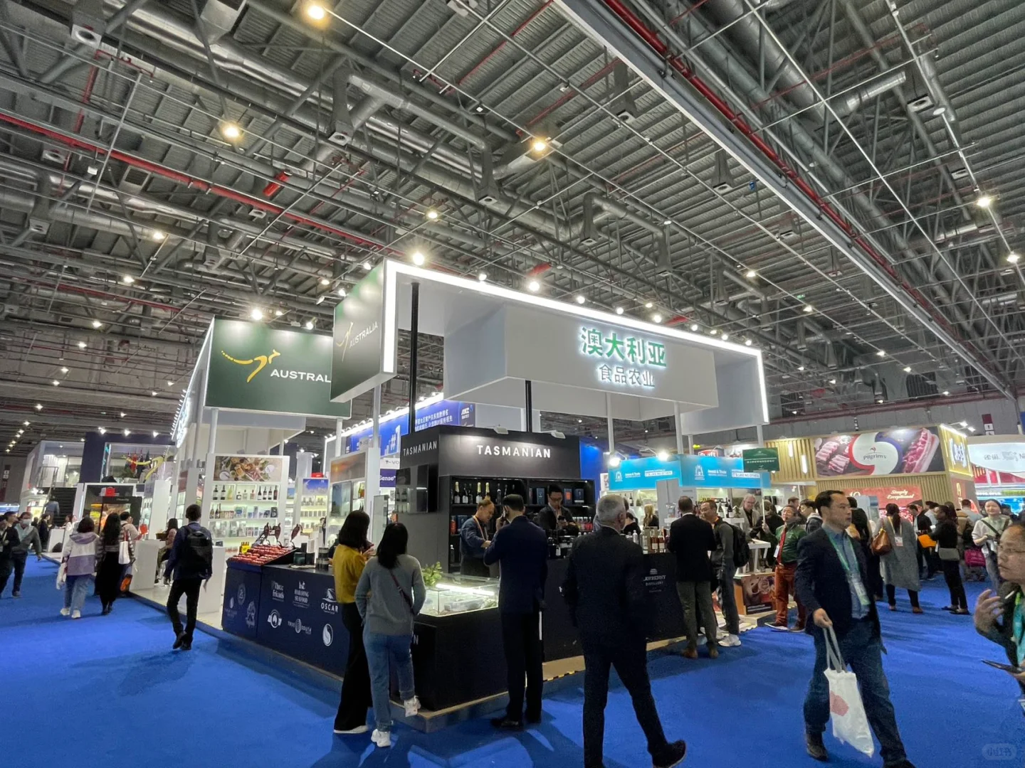 进博会 | 博览盛宴，无限可能！