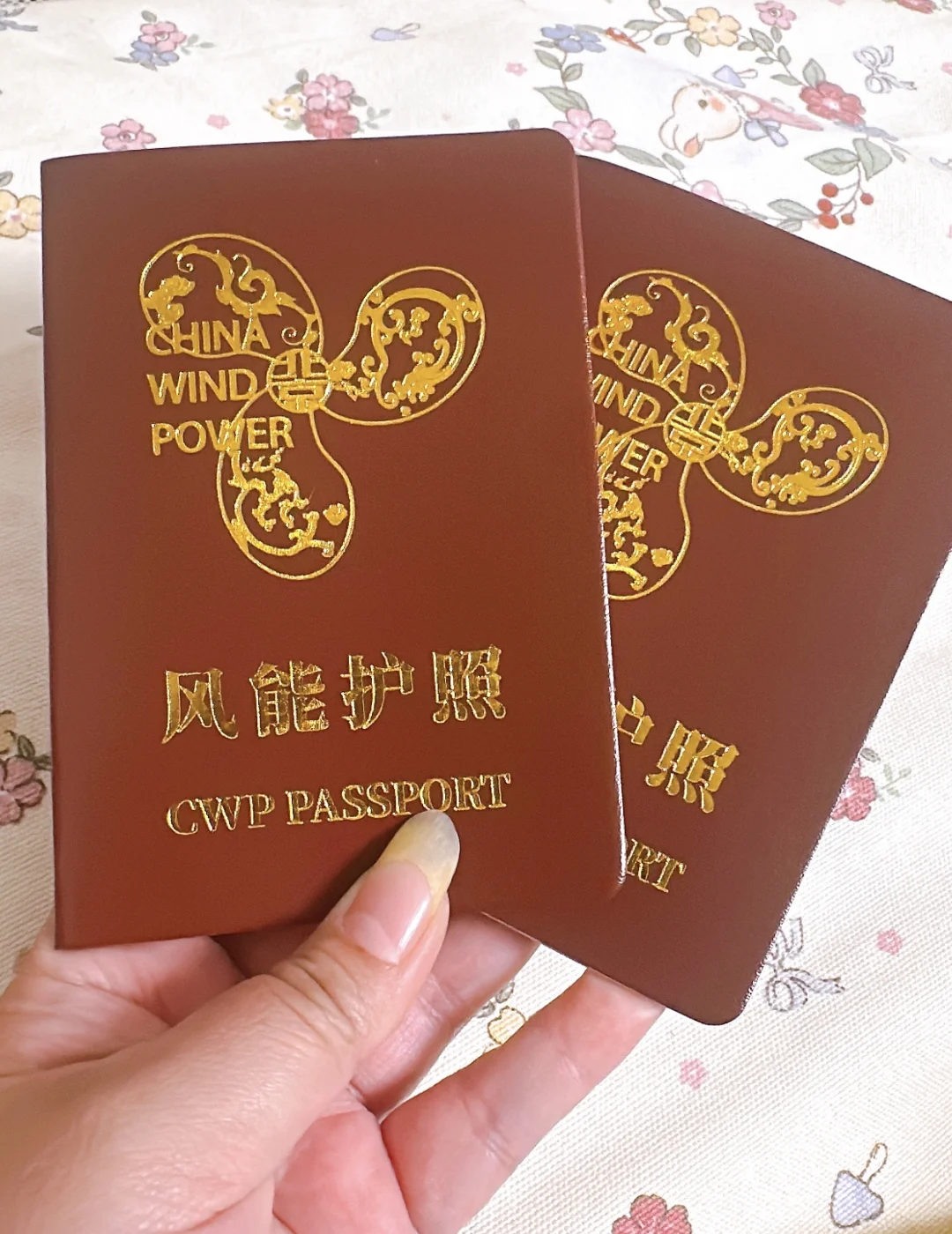 2025北京 风能展 薅羊毛攻略