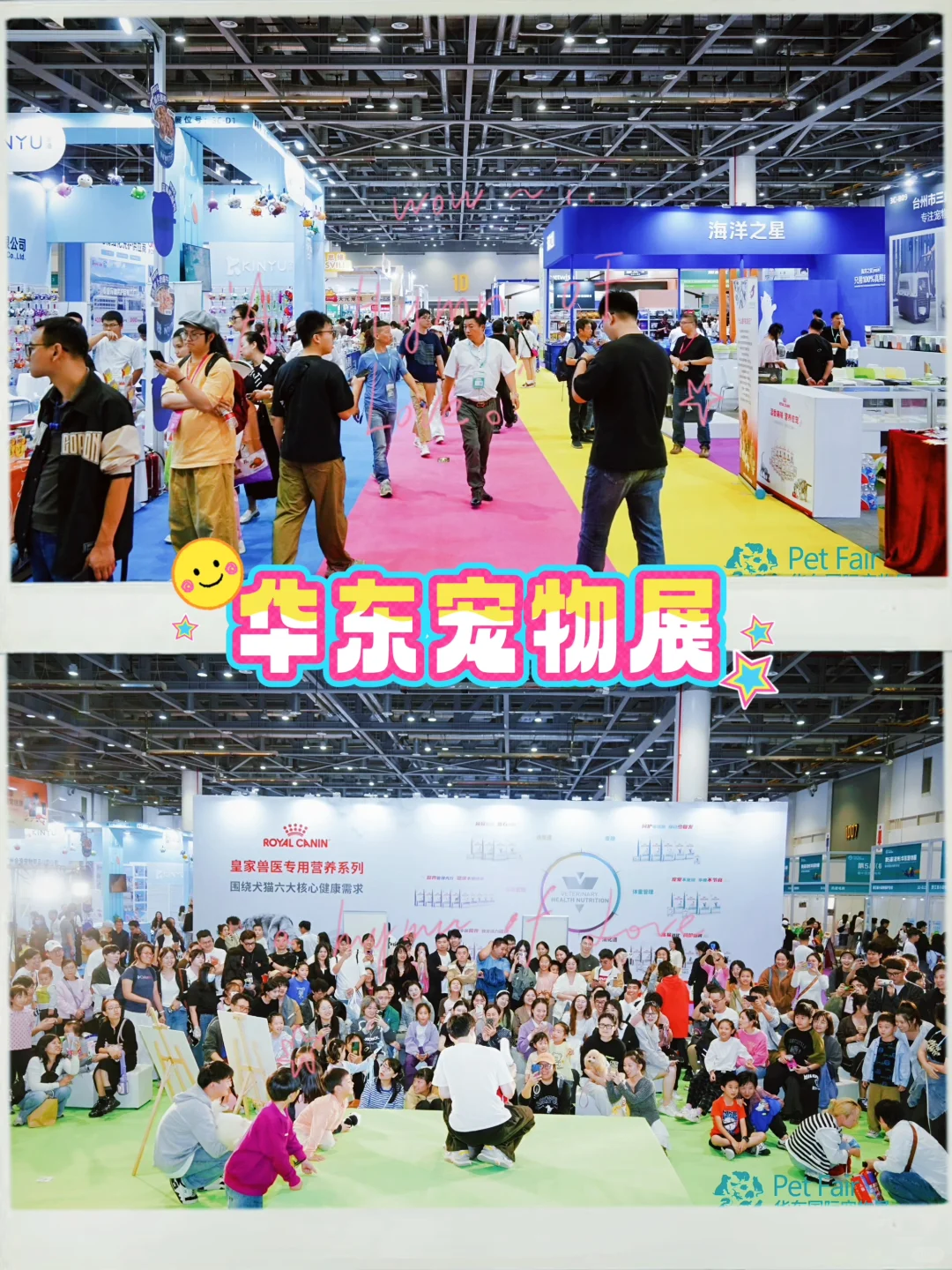 华东宠物展|铲屎官的年度囤货盛会来了!