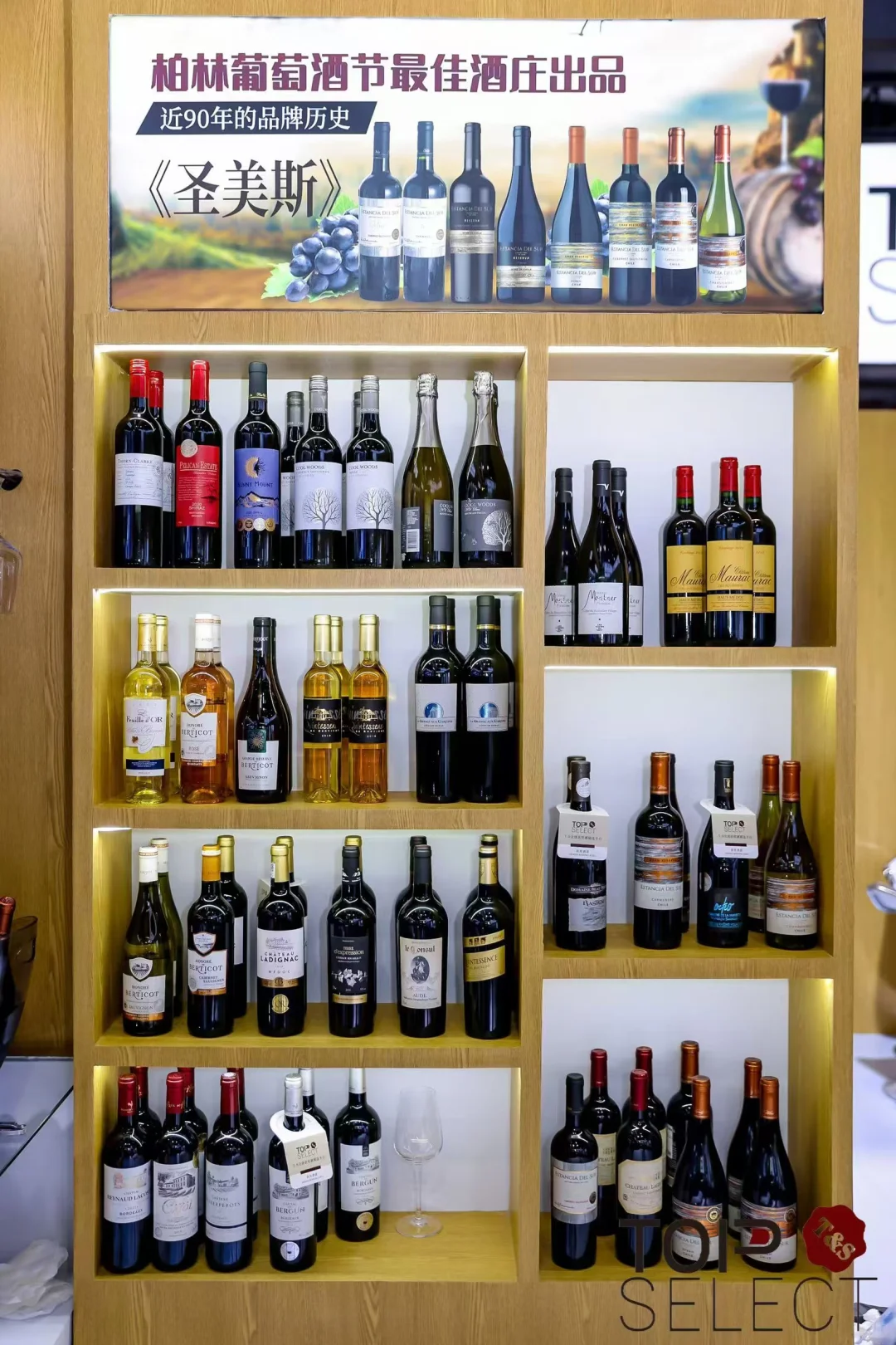 参加第七届进博会的感受