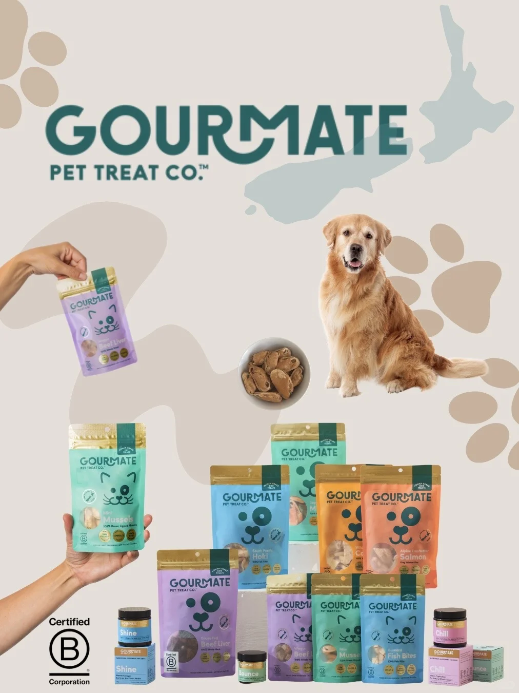 2025?它博集free tickets来啦~