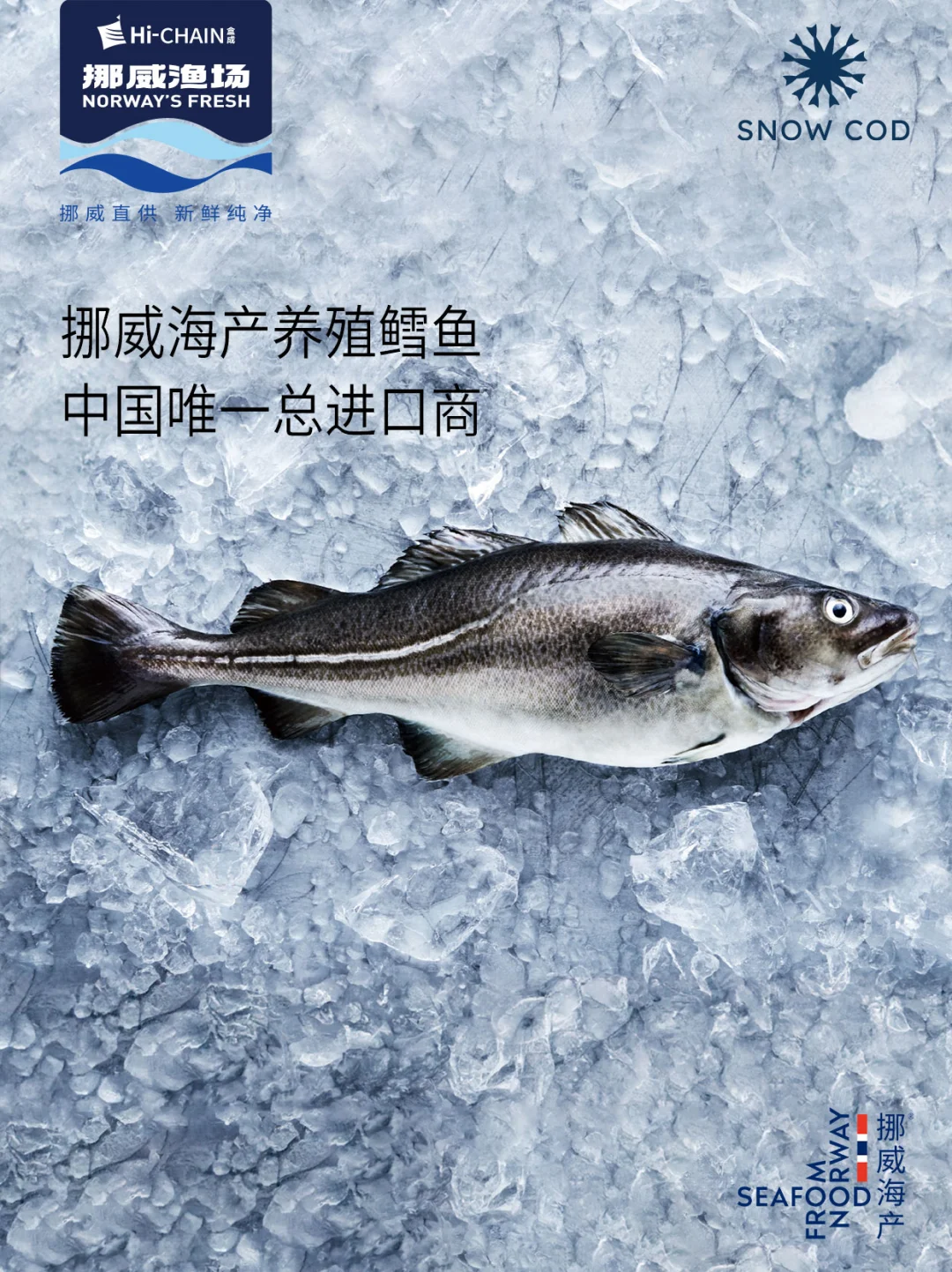 10月29日青岛渔博会 B8-0201,我们来啦~