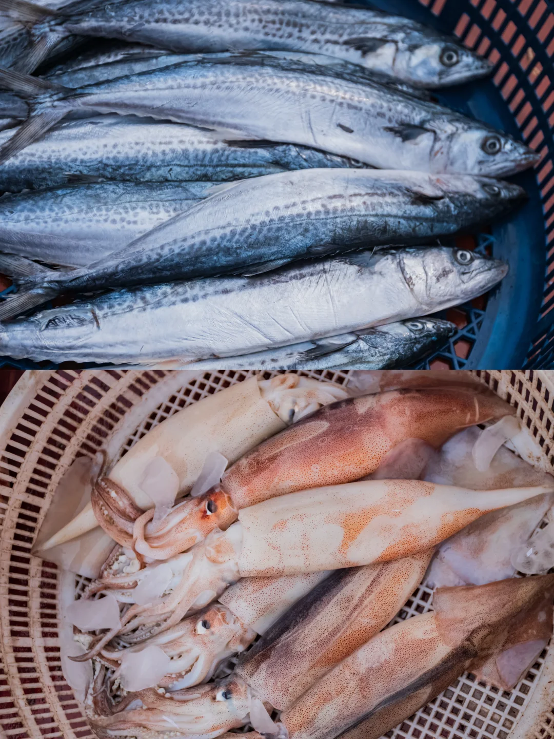 烟台人都去哪买海鲜❓超全地图公开?