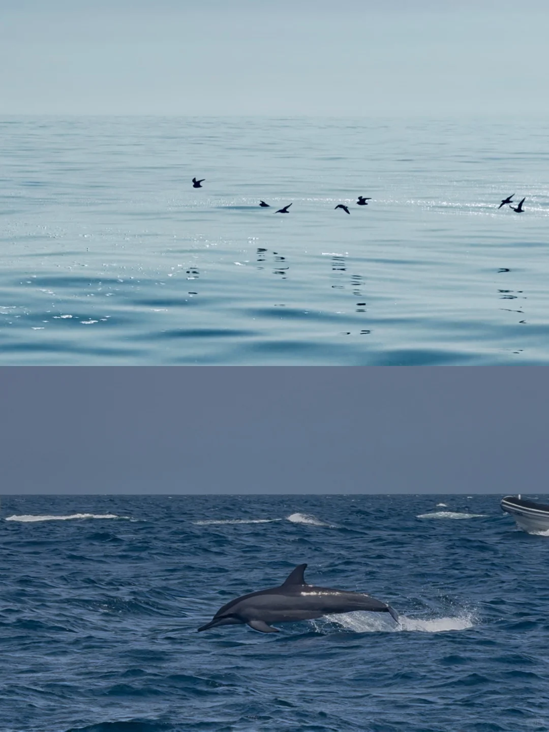 阿联酋&阿曼自驾|沙漠与海洋的极致碰撞