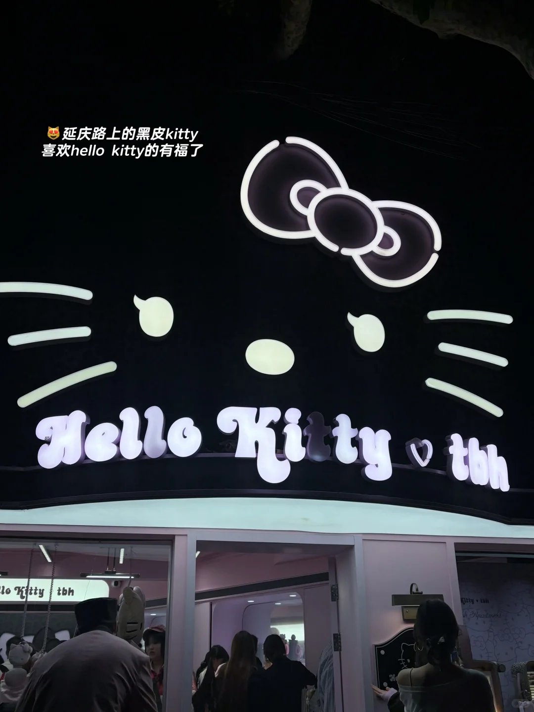 ?USST上理研1｜上课+上海citywalk