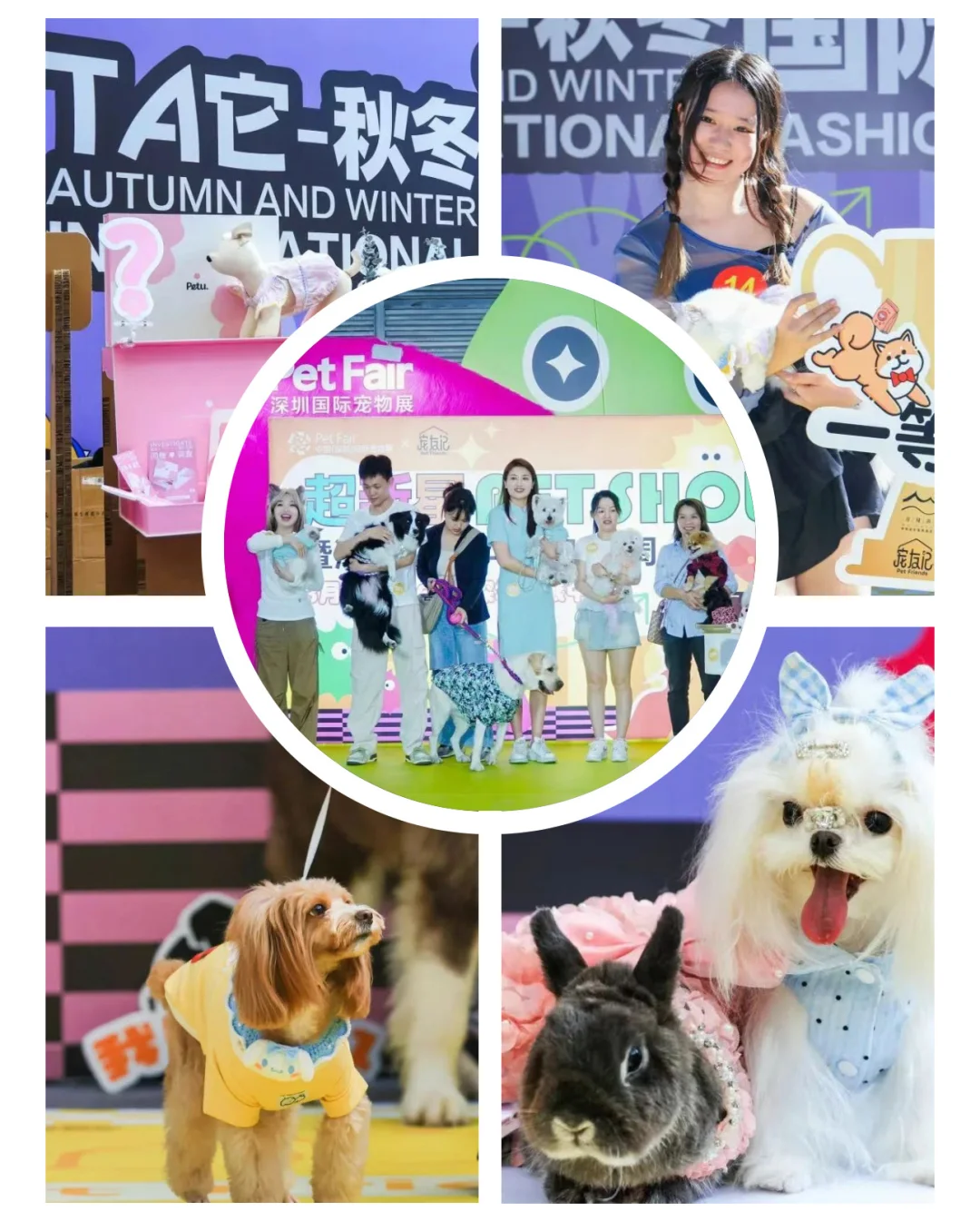 就在10?️‼️杭州华东宠物展3天通票21啦
