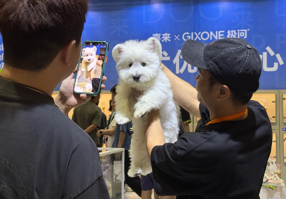 宝子们!宠物展门票限时领,速来!