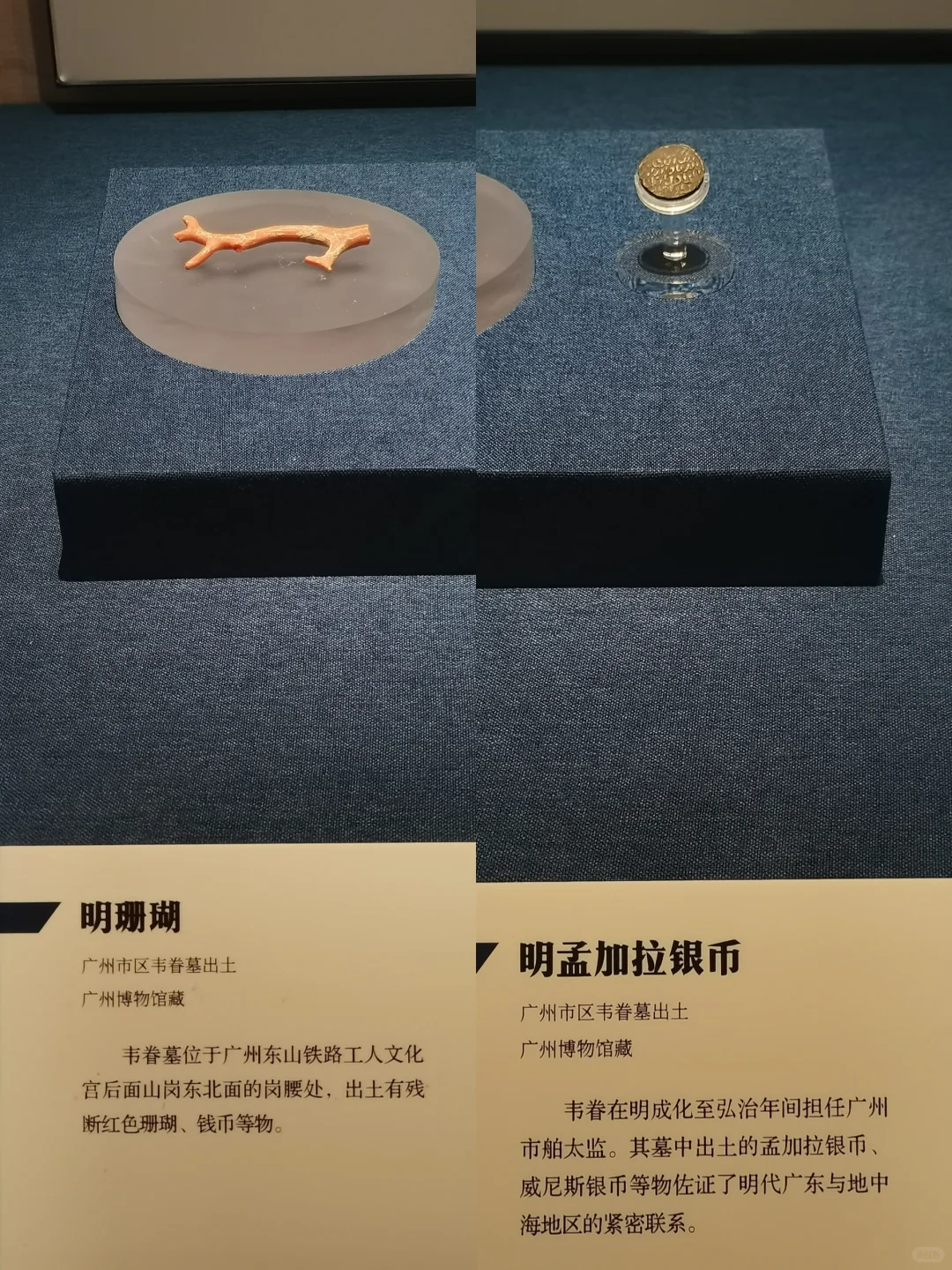 省市博物大咖联动,讲好Caton Fair history