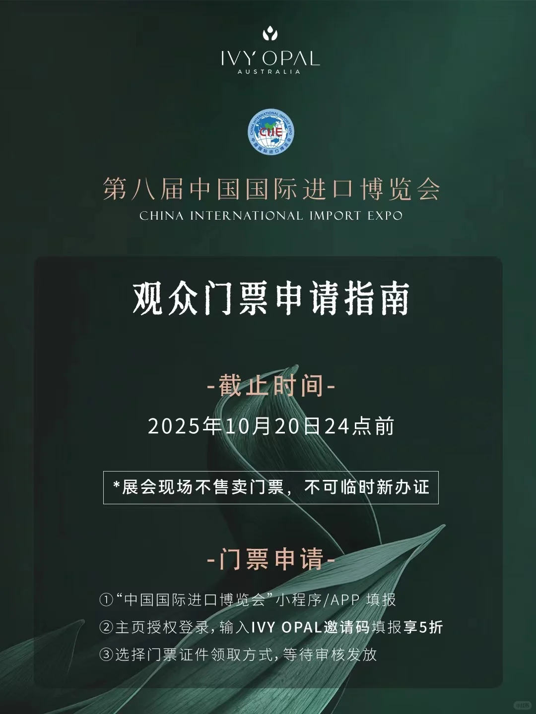 ✨ 2025 进博会门票申请全攻略