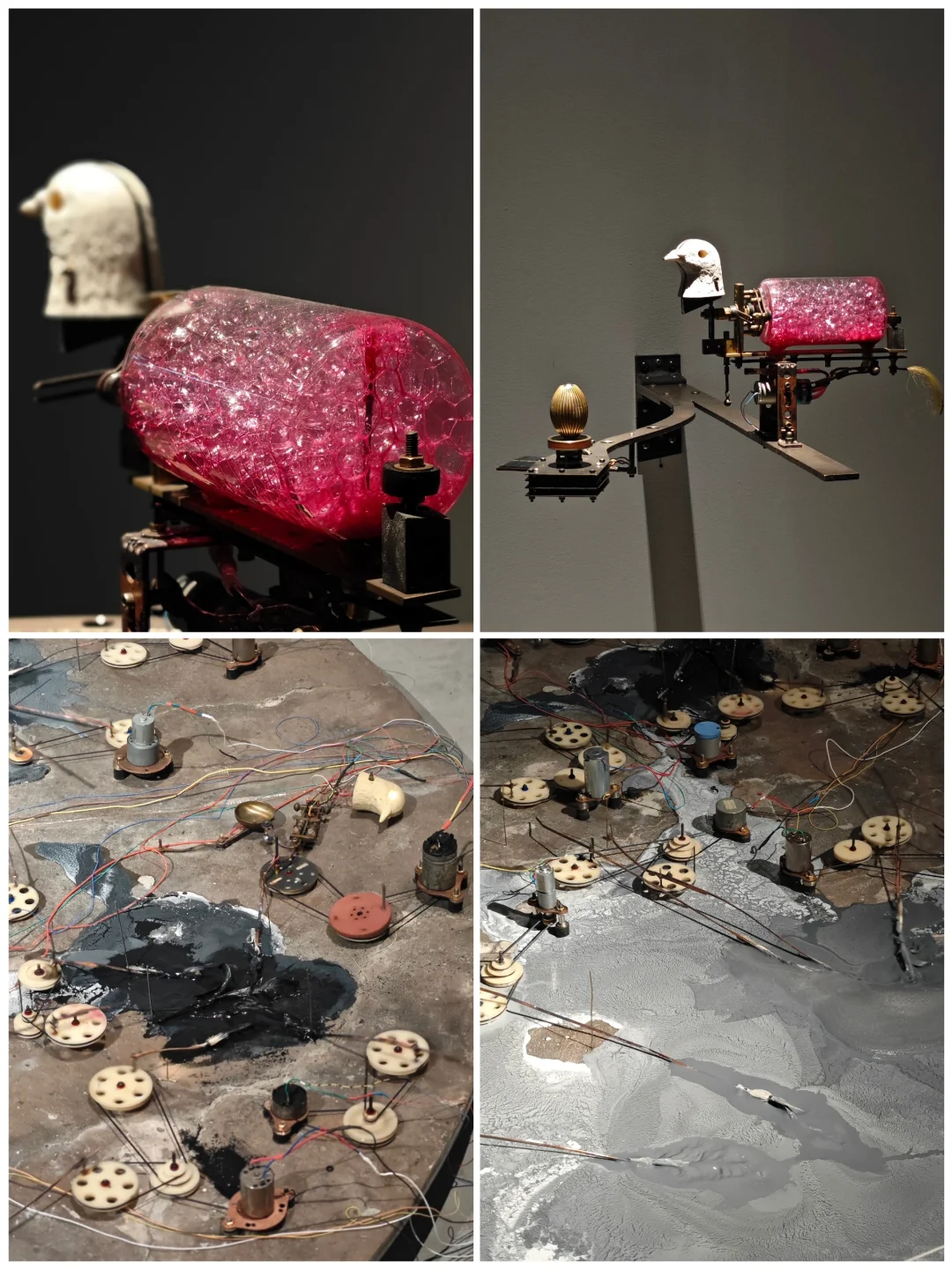 征侯/视界值得感受