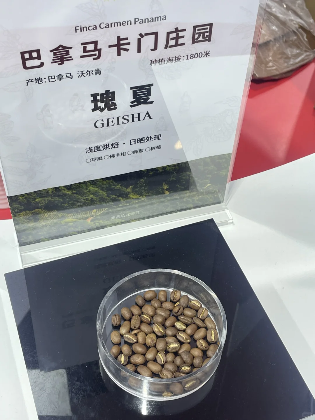 进博会美食攻略!都给我码住???