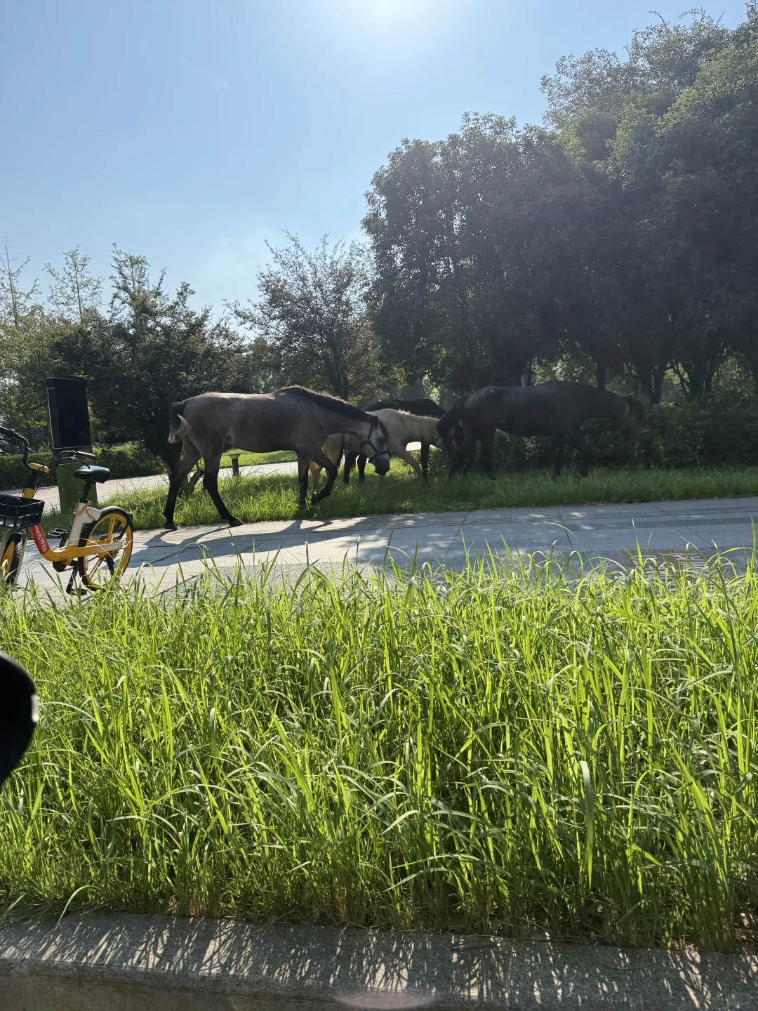 有没有卖展位的啊？