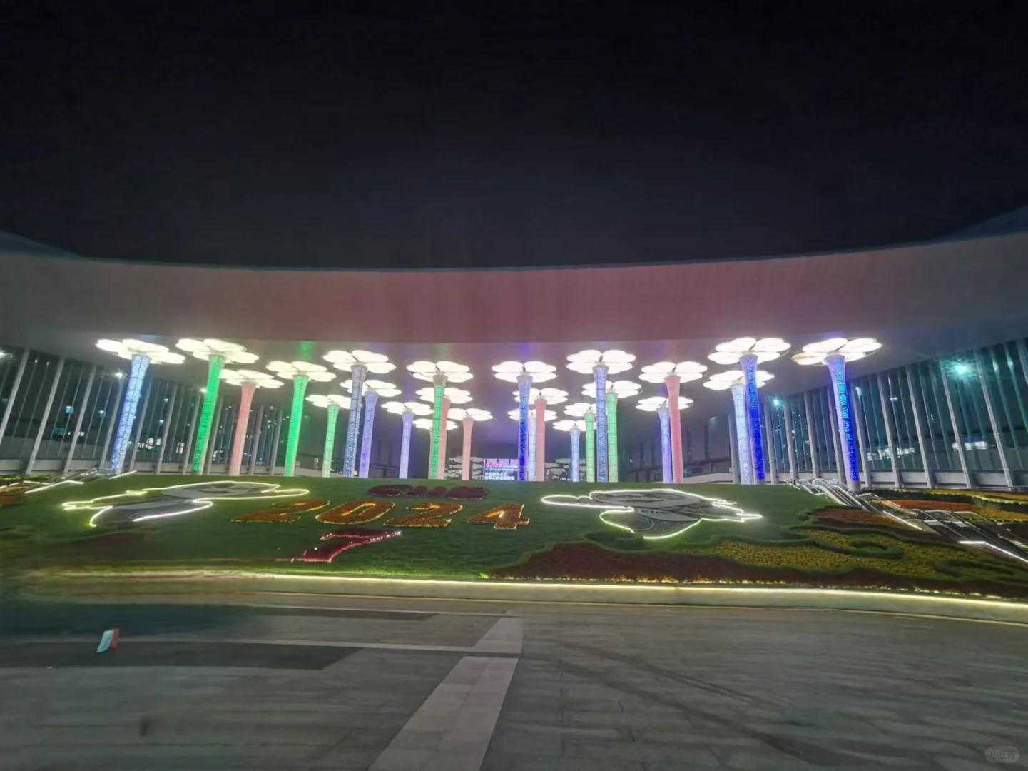 参加第七届进博会的感受