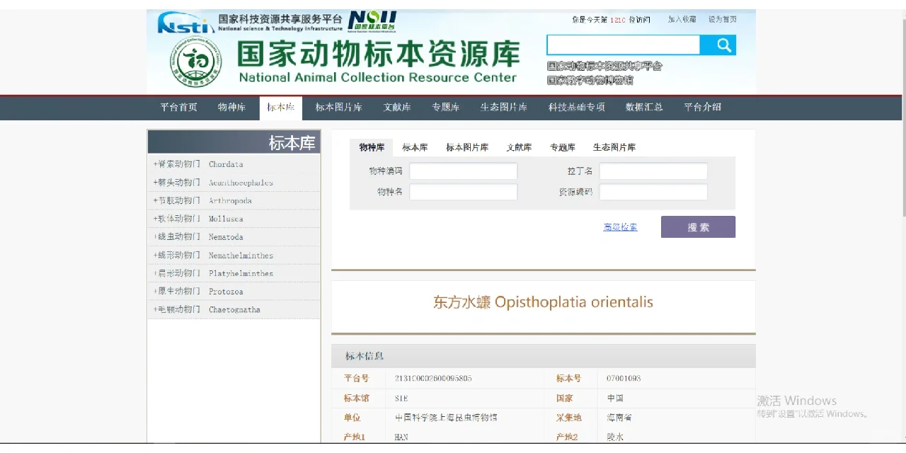 一些昆虫分类网站