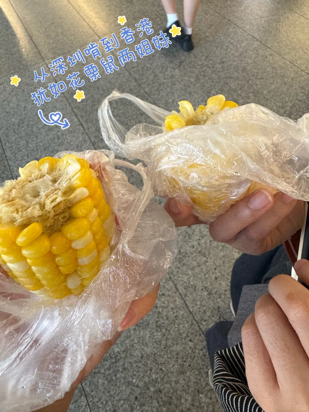 香港翻译：展会电子产品展中英翻译