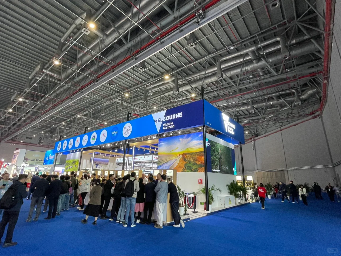 进博会 | 博览盛宴，无限可能！