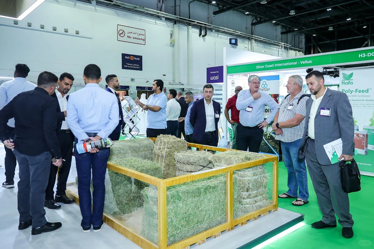 中东畜牧圈顶级展!2025迪拜AgroFarm来了!