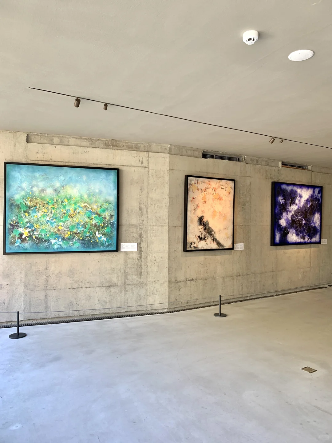 杭州近期被低估的免费展?️