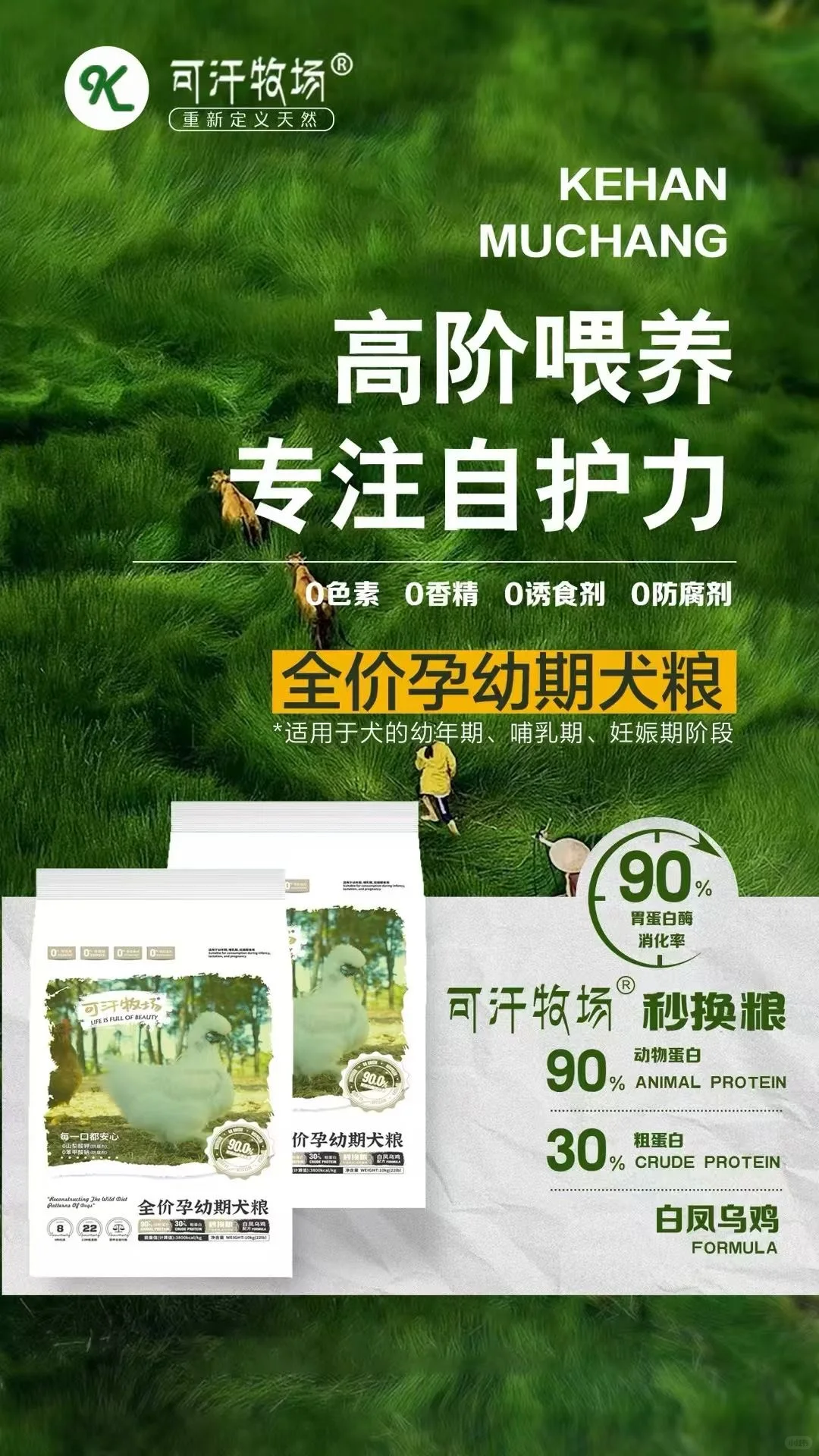 免费送‼️青岛亚太宠物展门票?来啦!