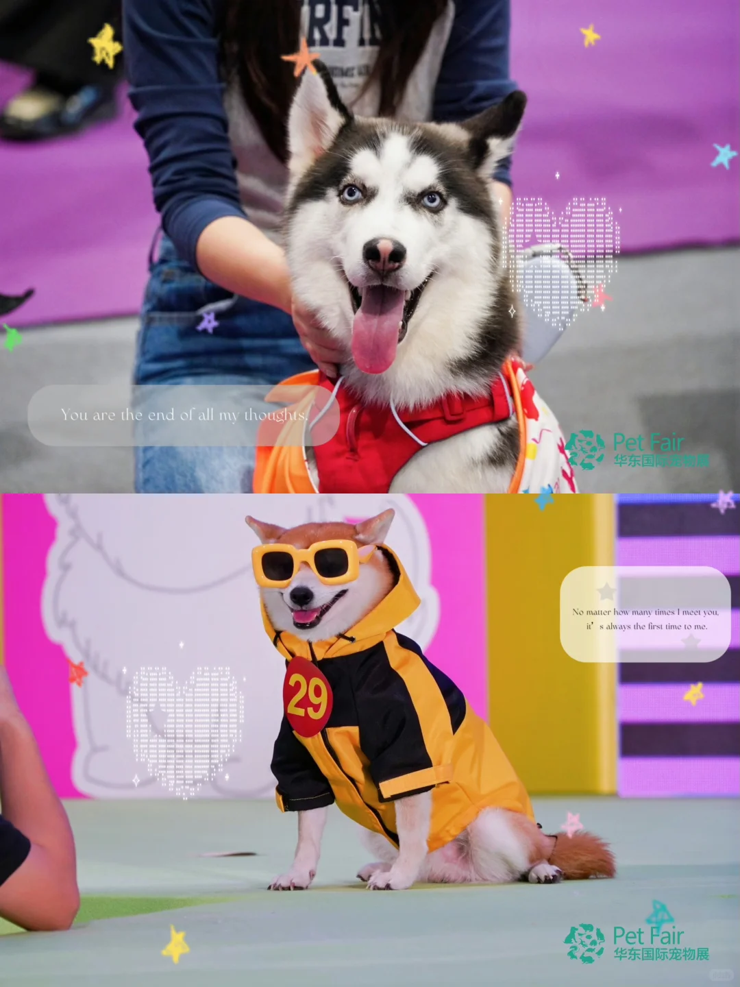 华东宠物展|铲屎官的年度囤货盛会来了!