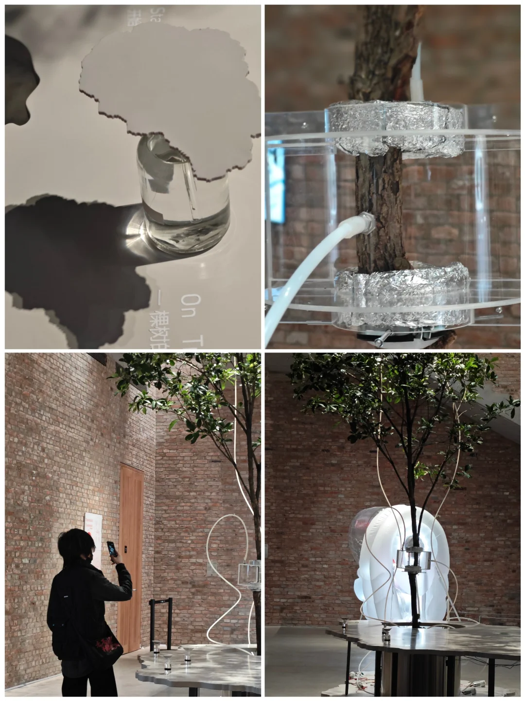 征侯/视界值得感受