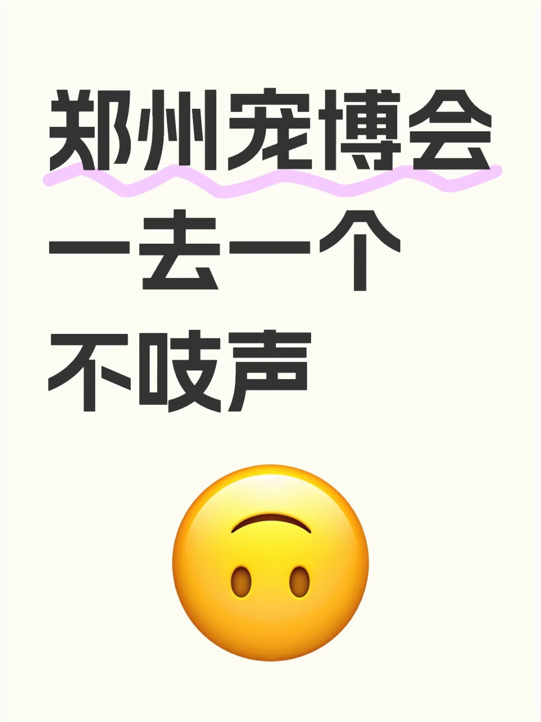 我在宠博会收获了...